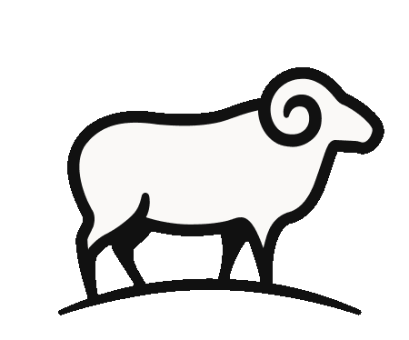 Wool Online